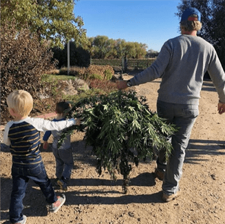 WAAYB Founder Scott Cusack and his boys at harvest
