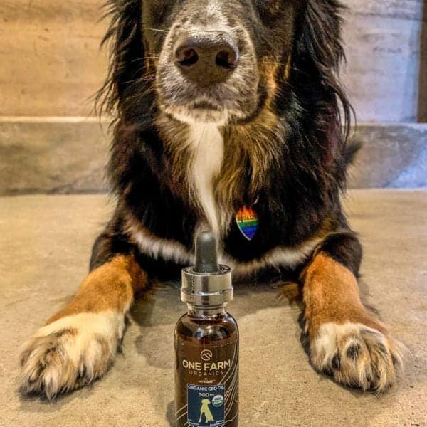 One Farm CBD Products for Pets
