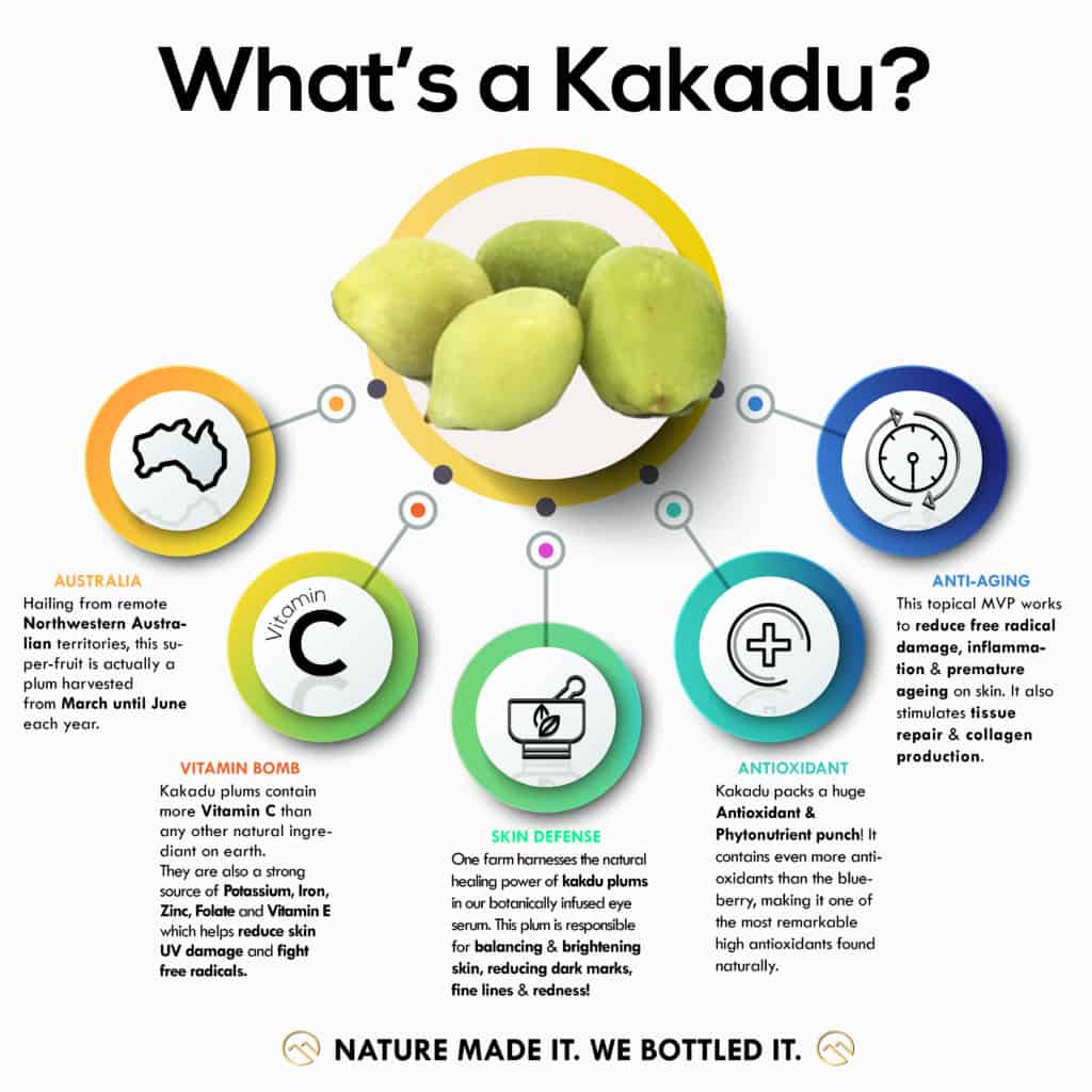 Kakadu Infographic