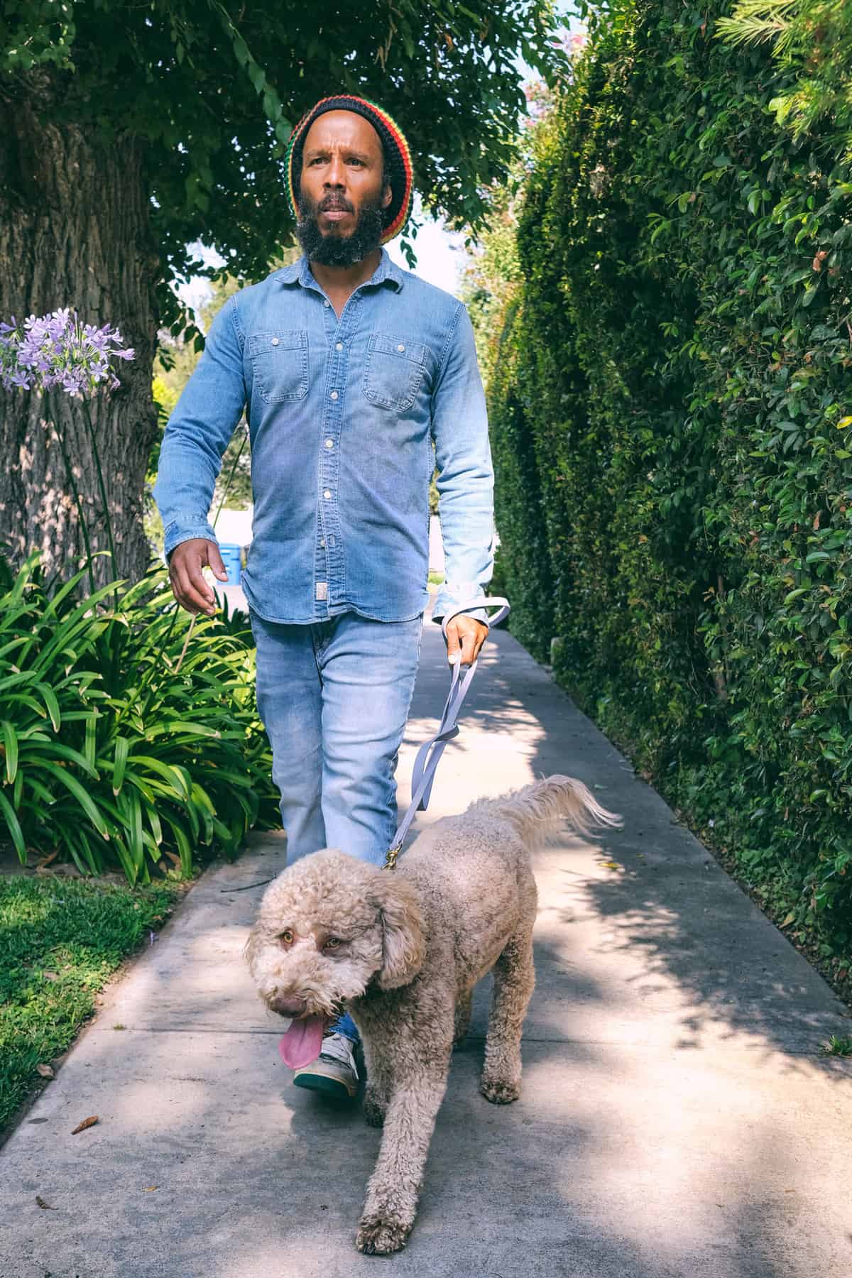 Ziggy & Romeo Walking