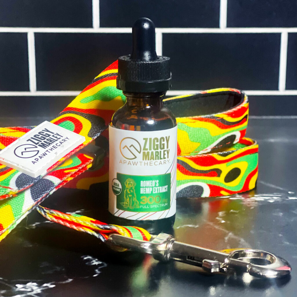 Ziggy Marley CBD oil with dog leash