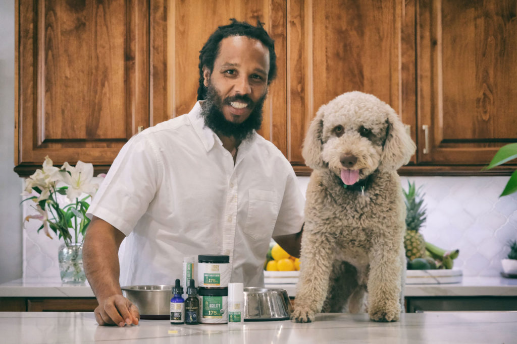 Ziggy Marley and Romeo