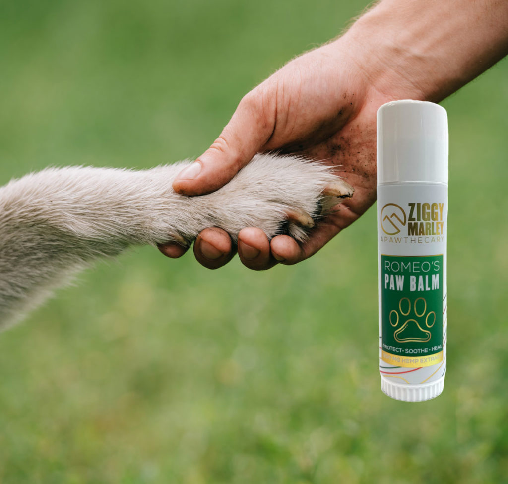 Paw Balm for pets