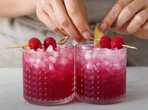Hibiscus Berry Boost Recipe